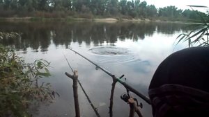 Мы часто жизни сожелеем