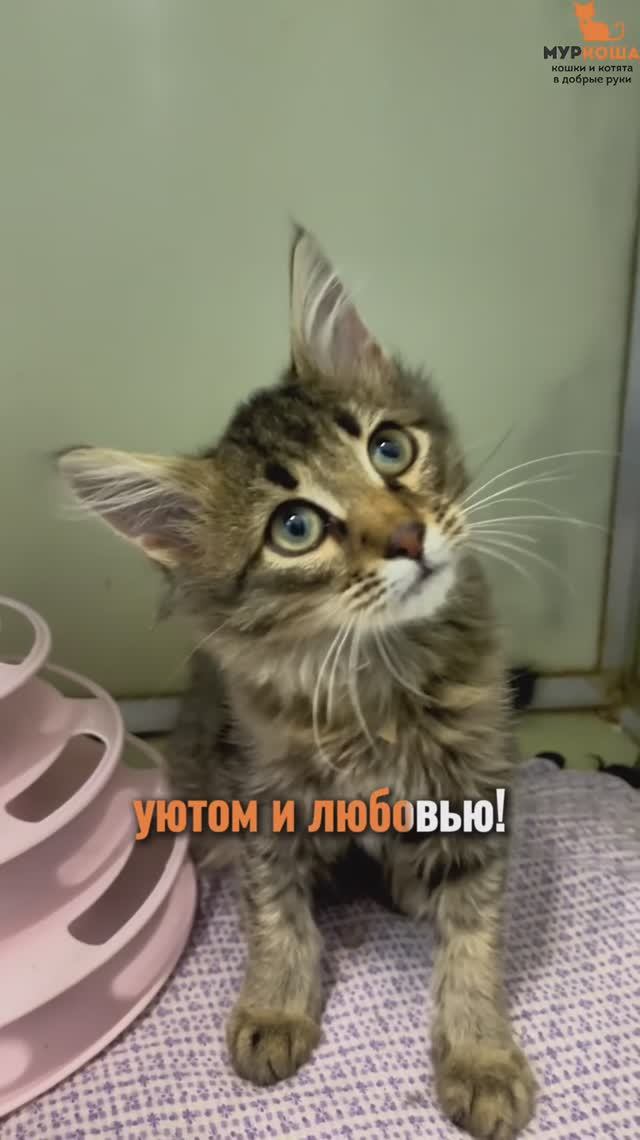 Эдгар (уже дома)