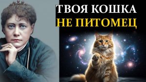 НИКОГДА не Игнорируйте Эти Знаки от Вашей Кошки. Это Послание Вселенной - Елена Блаватская