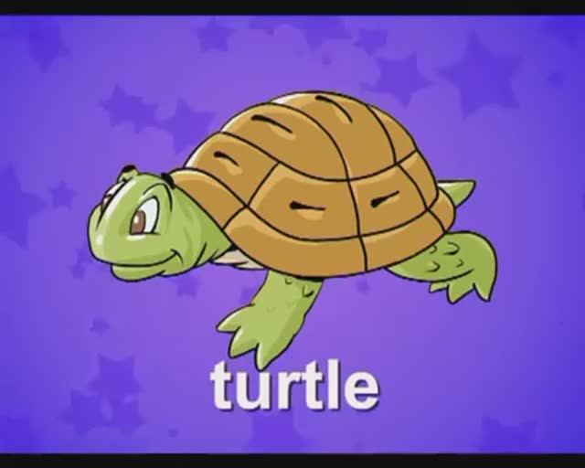 Starlight 4 (City Stars 4) Round-Up lessons, p.26 смотреть онлайн