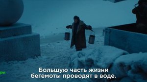 Красавица. Фильм 2026. Трейлер фильма.