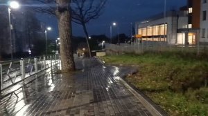 Л ДОЛИНА & А ПАНАЙОТОВ. *ЛУННАЯ МЕЛОДИЯ*.Лучший дуэт. Просто браво. Под дождем со мной....