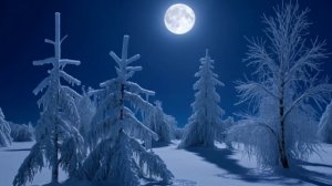 Футаж. Новый год. Новогодний Фон. Зимний лес. mp4