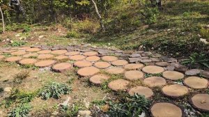 Побывали на "Острове сокровищ", а заодно навестили бабу Ягу🧹🔮🏴☠️🦜🐺🍄🦉