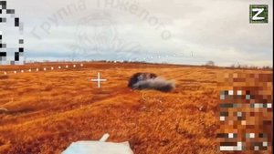 СВО