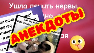 САМЫЕ СМЕШНЫЕ АНЕКДОТЫ.