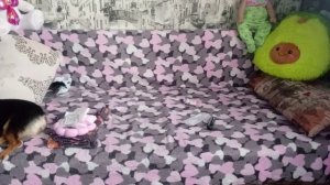 распоковка товаров с ВБ