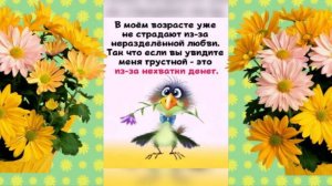 Смешные анекдоты в картинках. Музыкальная открытка с анекдотами для хорошего настроения!