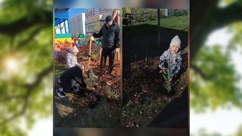 День древонасаждения!