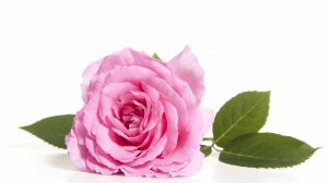 26 октября 2025 г. Воскресная служба За Победу Света России в противостоянии Антихристу!