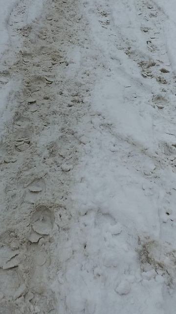 №208. Двор Сибирская 73. 10 марта 2025 г., 9:57:51. VID_20250310_095641906