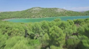 Gopala Govinda Rama Madana Mohana