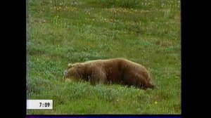 Завтрак с Лариком