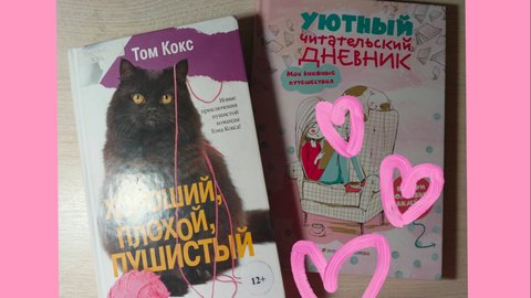 Заполнила читательский дневник