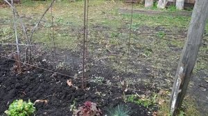 съездили в деревню, опробовали новый секатор и обработали высокие деревья