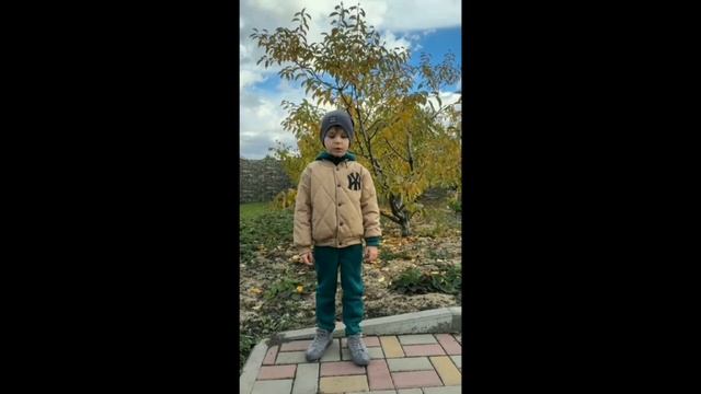 онлайн-конкурс «Осенняя поэзия» Орлов Андрей, группа 4 «Звёздочка»