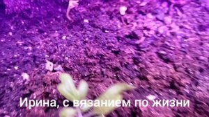 Влог с 20 по 26 октября 2025г