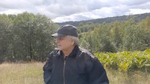 26-10-2025Вырубки.