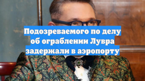Подозреваемого по делу об ограблении Лувра задержали в аэропорту