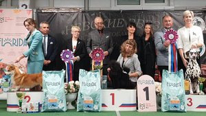 28.09.2025, СПб. Клуб "Спарс" (РКФ, РФСС). Выставка собак всех пород "НЕВСКИЕ ЗВЕЗДЫ" (САС, ЧРКФ)