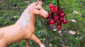 Осенний фотосет 🍁🍂