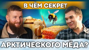 Арктическое пчеловодство: как заработать на мёде за Полярным кругом? Пасека в Мурманске
