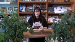 Онлайн-лекция «Чтобы ребёнок не стал жертвой преступления»