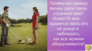 Немного юмора )