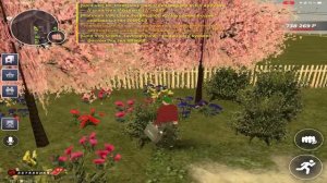 #Чип Стал кидалой на 24 часа в блек раша