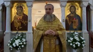 ПРИТЧА О СЕЯТЕЛЕ: Почему одни меняются, а другие только слушают? 🌾 Отец Игорь Бачинин