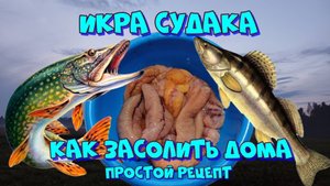 Икра судака, простой рецепт засолки 👍