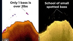 Даунскан+Сонар2D