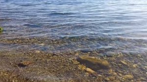 Керчь, 23 октября. Комсомольский парк, Черепашка и берег на Сморжевского.