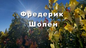 Фредерик Шопен, ноктюрн №20, классическая музыка