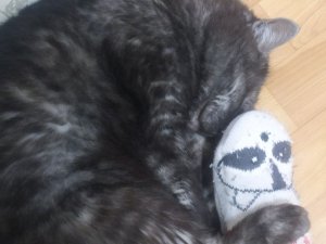 часть 40 давно  не снимал :(