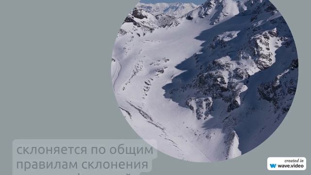 Фамилия Алишин: история, происхождение и особенности склонения в русском языке - полный гид