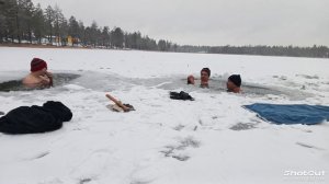 моржи Муравленко
