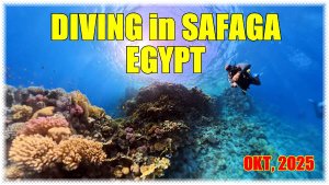 В объятиях Красного моря: дайвинг в Сафаге. Октябрь 2025 г