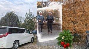 Не ягодка🍓