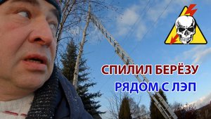 Как спилить березу рядом с ЛЭП и не задеть провода