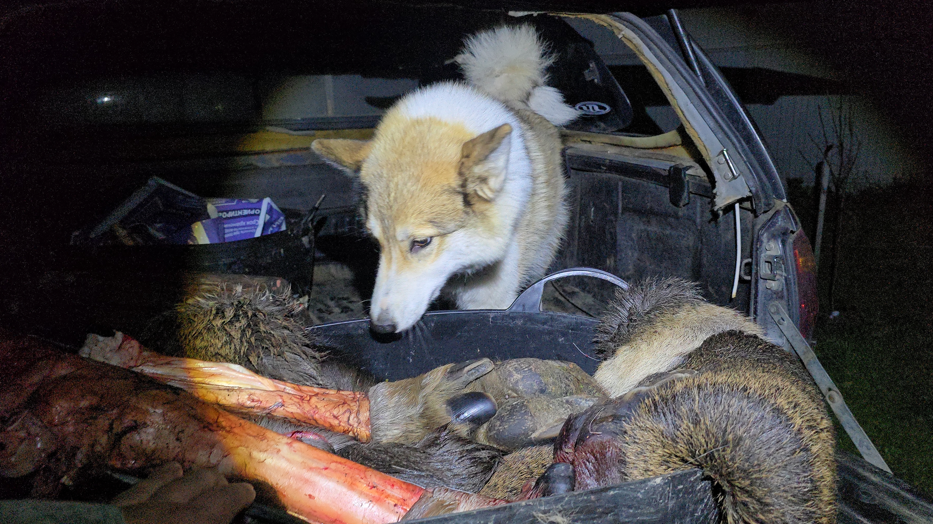 По приезду с охоты