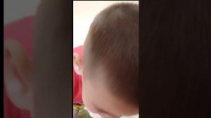 Энциклопедия про динозавров.