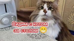 Прикольная озвучка.