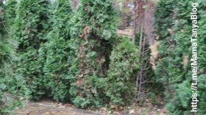 Дворец на пруду на ВДНХ