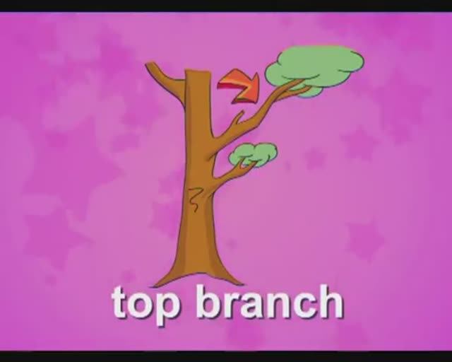 Starlight 4 (City Stars 4) Module 8 p.58 + p.64 смотреть онлайн