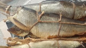 #Купил# коптильню на # Wildberries