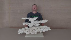110925 Декорация из биокерамики для морского аквариума.