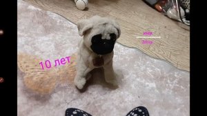 уу баскета семейкааааааа! 😊❤❤❤❤❤💛💖💌💘💝