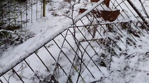 Станция Сейда. Кладбище.
