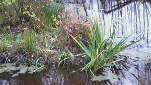 Как мы на озеро Палецкое ходили